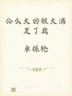 公么大的粗大满足了我