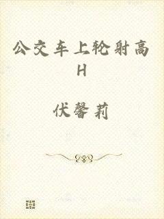 公交车上轮射高H