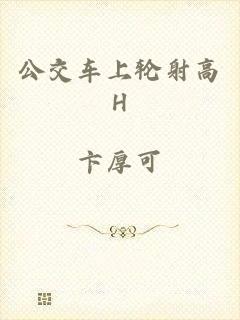 公交车上轮射高H