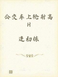 公交车上轮射高H