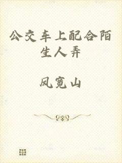 公交车上配合陌生人弄
