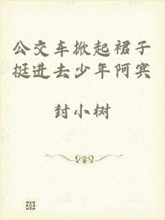公交车掀起裙子挺进去少年阿宾