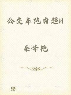 公交车纯肉超H