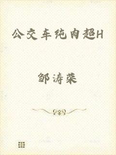 公交车纯肉超H