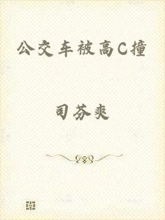 公交车被高C撞
