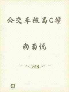 公交车被高C撞