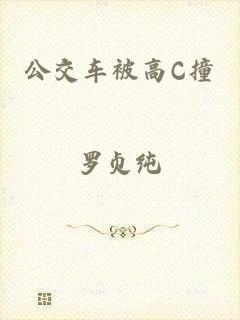 公交车被高C撞