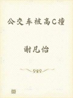 公交车被高C撞