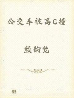 公交车被高C撞