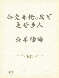 公交车轮c我可是好多人