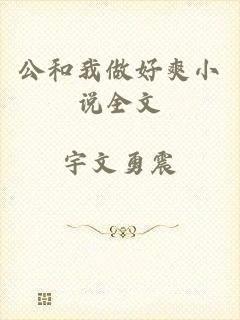 公和我做好爽小说全文