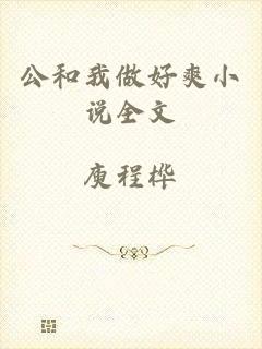 公和我做好爽小说全文