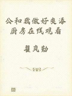 公和我做好爽添厨房在线观看