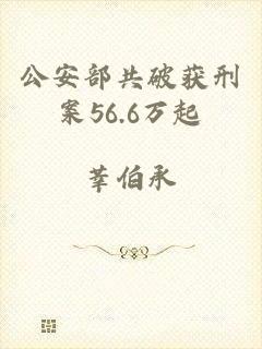 公安部共破获刑案56.6万起