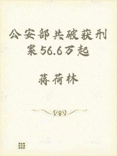 公安部共破获刑案56.6万起
