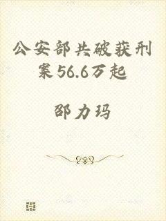 公安部共破获刑案56.6万起