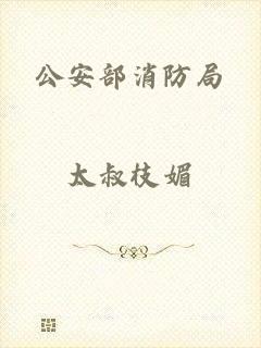 公安部消防局