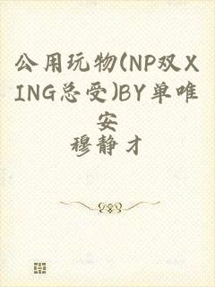 公用玩物(NP双XING总受)BY单唯安