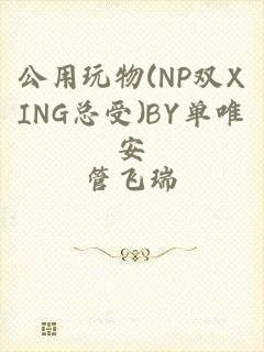 公用玩物(NP双XING总受)BY单唯安