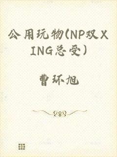 公用玩物(NP双XING总受)