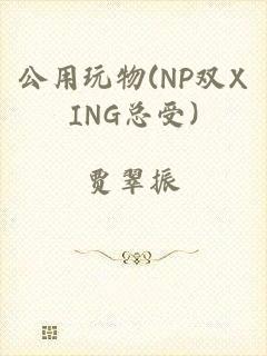 公用玩物(NP双XING总受)