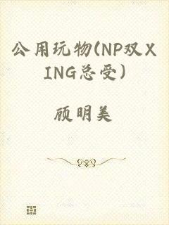 公用玩物(NP双XING总受)