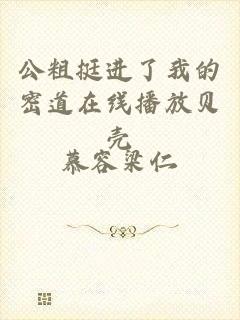 公粗挺进了我的密道在线播放贝壳