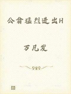 公翁猛烈进出H