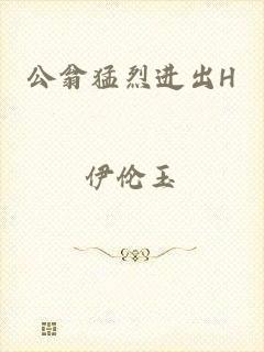 公翁猛烈进出H