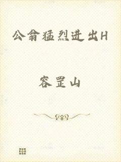 公翁猛烈进出H
