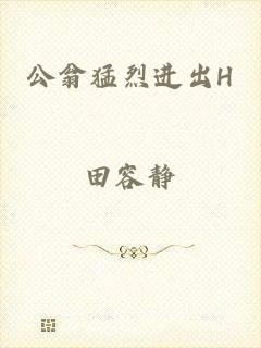 公翁猛烈进出H