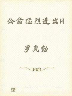 公翁猛烈进出H