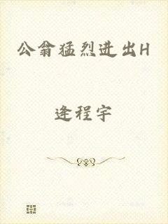 公翁猛烈进出H