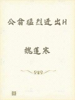 公翁猛烈进出H