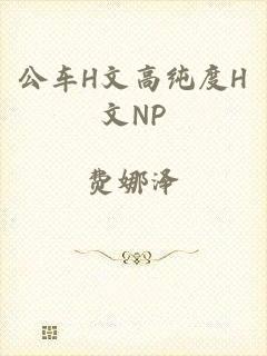 公车H文高纯度H文NP