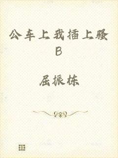 公车上我插上骚B