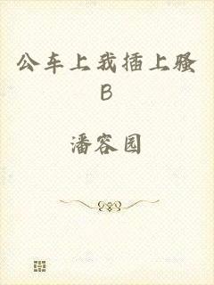 公车上我插上骚B