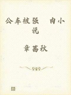 公车被强奷肉小说