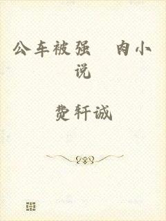 公车被强奷肉小说