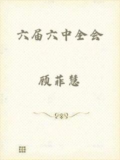 六届六中全会