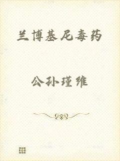 兰博基尼毒药
