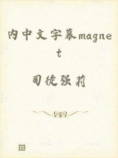 内中文字幕magnet