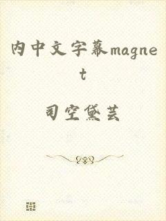 内中文字幕magnet