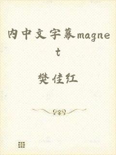 内中文字幕magnet