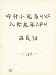 内射小说高HNP入禽太深NPH