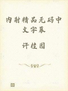 内射精品无码中文字幕