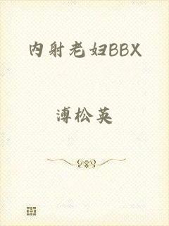 内射老妇BBX