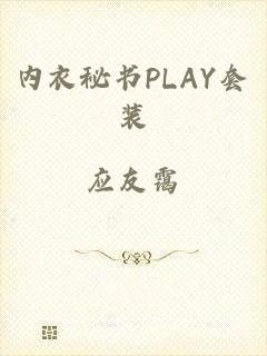 内衣秘书PLAY套装