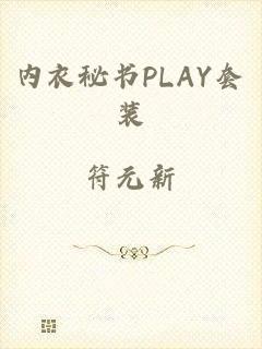 内衣秘书PLAY套装