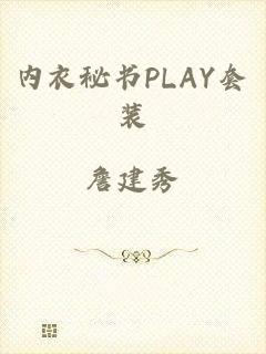 内衣秘书PLAY套装